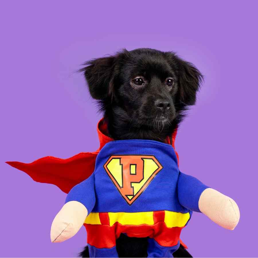 Disfraz Super Dog, , large image number null